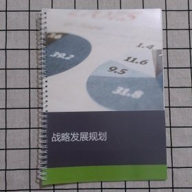 战略发展规划