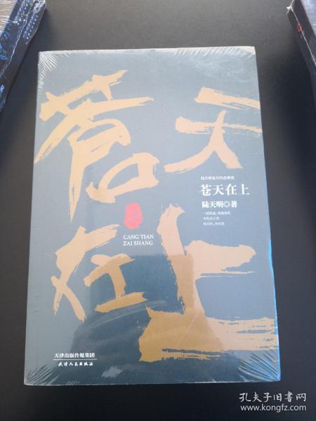 陆天明当代作品精选：苍天在上