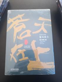 陆天明当代作品精选：苍天在上