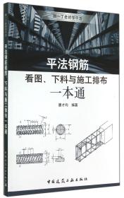 全新正版 平法钢筋看图下料与施工排布一本通/跟一丁老师学平法 唐才均 9787112166701 中国建筑工业