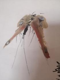 金梦石花鸟作品