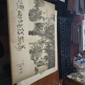 西双版纳白描写生集【活页 现存36张】8-521