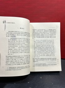 中国禅学通史（一版一印）