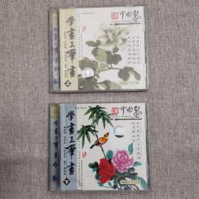 学画工笔画DVD（上下）