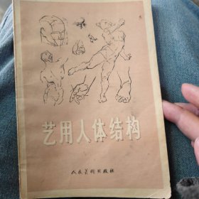 艺用人体结构(自然泛黄