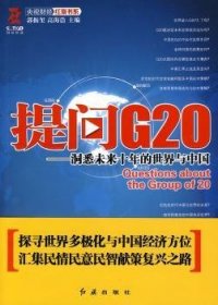 提问G20：洞悉未来十年的世界与中国