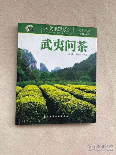 武夷问茶