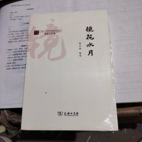 镜花水月/复旦中文学科建设丛书·佛教文学卷