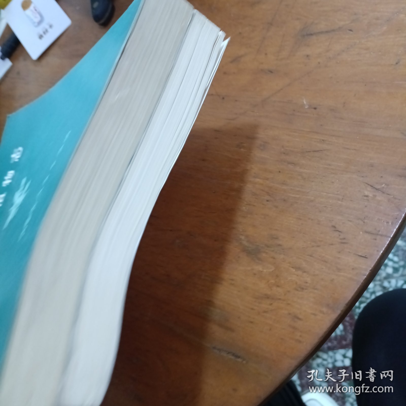 内蒙古植物志第五、六卷