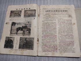 畜牧与兽医双月刊1958年第9卷第1期