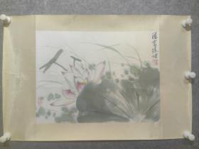 王雪涛弟子 著名画家徐健 精品花鸟  保真原装原裱(约1.5平尺)