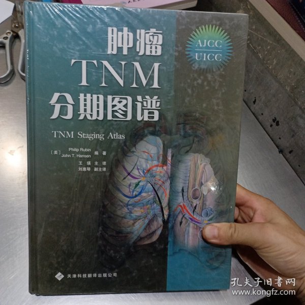 肿瘤TNM分期图谱