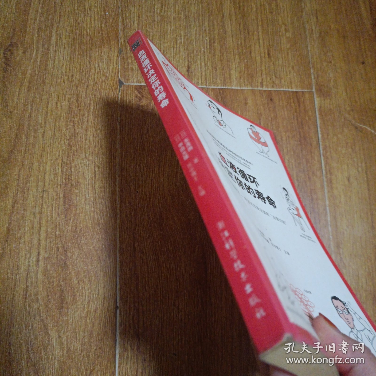 血液循环决定你的寿命