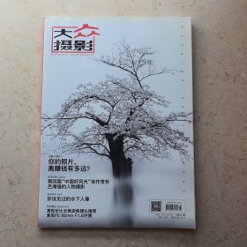 大众摄影2017 五月号