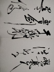 谢德萍 题签 签名册，魏传统，呼延振邦，胥光义，陈大章，范立夫，韦江凡，牧青，孙毅，张继，李燕，等众人签名