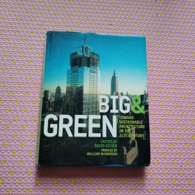 Big and Green: Toward Sustainable Architecture in the 21st Century