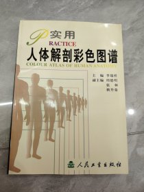 实用人体解剖彩色图谱