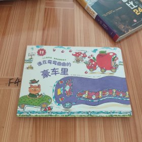 谁在弯弯曲曲的豪车里