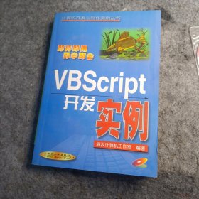 VBScript 开发实例