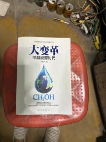 大变革：甲醇能源时代