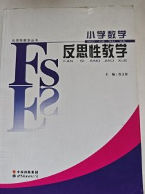 小学数学反思性教学/反思性教学丛书