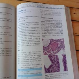 乳腺及女性生殖器官肿瘤病理学和遗传学 -内页有铅笔笔迹