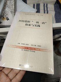 四川德阳“一核三治”探索与实践