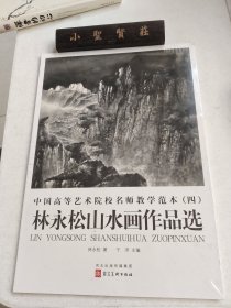 中國(guó)高等藝術(shù)院校名師教學(xué)范本（四）林永松山水畫(huà)作品選（未拆封）