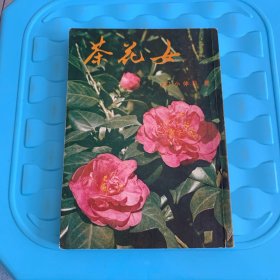 茶花女