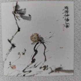 吴凡小尾巴《画中画-残荷神悟图》