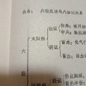 六经证治表解