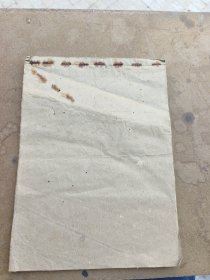 医学手抄本一册全，见图