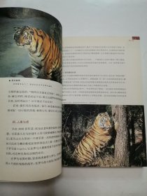 看客中国，中国社会各阶层分析，野兽之美（梁晓声作品，3册合售）