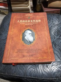 人类的由来及性选择