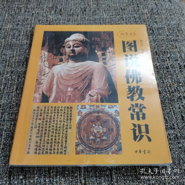 图说佛教常识：视觉历史（孔网稀见）