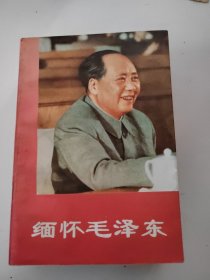 缅怀毛泽东（上下）