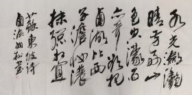 宋柏松书法四尺整张作品