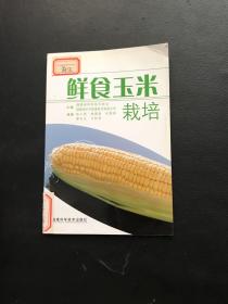 鲜食玉米栽培