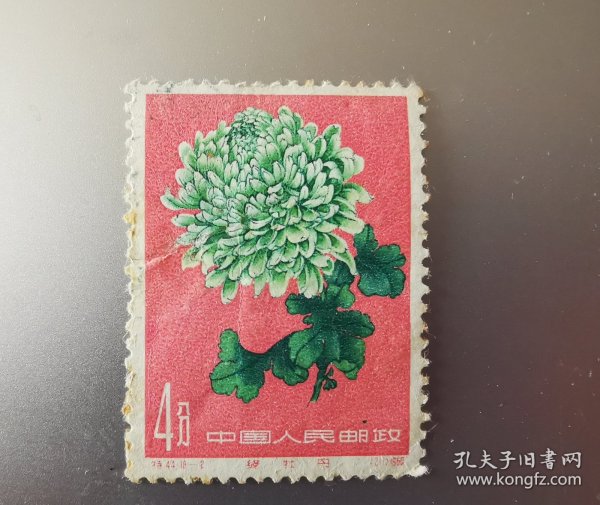 特44邮票，18-2，菊花。