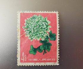 特44邮票，18-2，菊花。