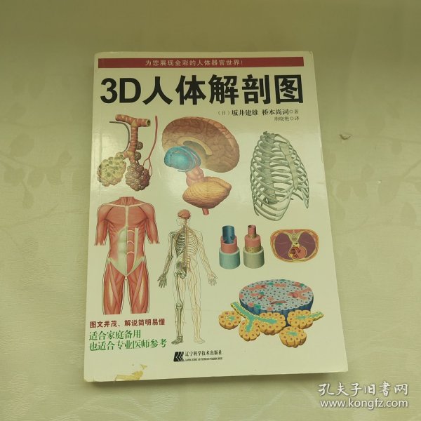 3D人体解剖图