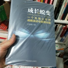 成长与蜕变 : 一个机场公司的战略演进与管理突围