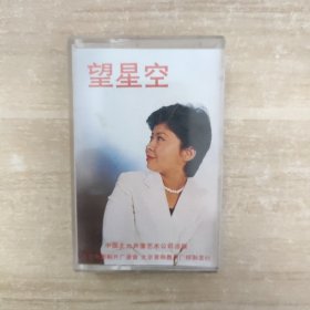 磁带：望星空 董文华演唱专辑【有歌词】