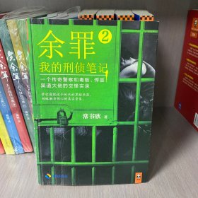 余罪 2：我的刑侦笔记