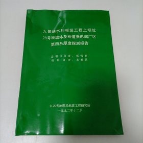 九甸峡水利枢纽工程上坝址28号滑坡体及桥道堡电站厂区第四系厚度探测报告