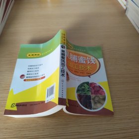 实用食品加工技术丛书：果脯蜜饯加工技术