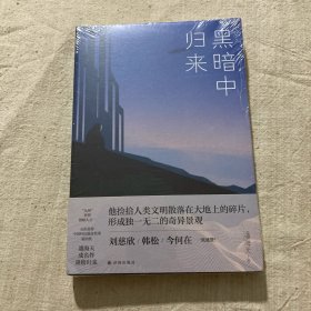 黑暗中归来