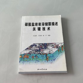 碳酸盐岩岩溶储层描述关键技术