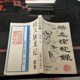 倚天屠龙记》续集 中册