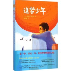 追梦少年